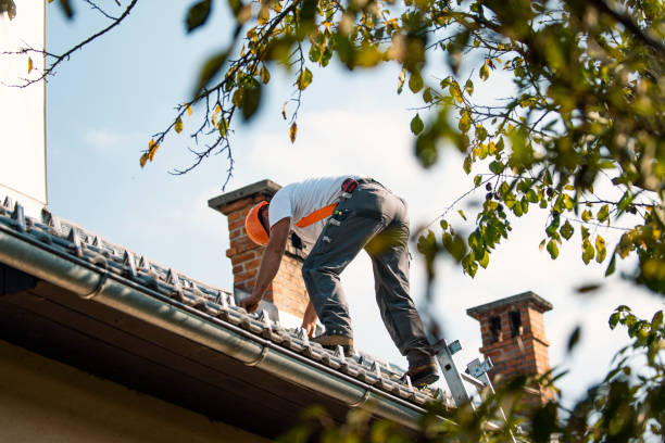 Best Rubber Roofing (EPDM, TPO)  in Danville, PA